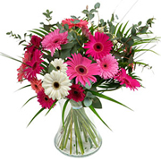 Simply Gerbera Bouquet 