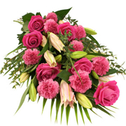 Raspberry Ripple Sheaf