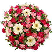 Pretty Pinks Posy