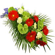Red &amp; Lime Sheaf