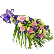 Vibrant Sheaf