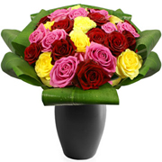 Imperial Roses 