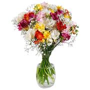 Freesia Fusion
