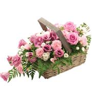 Pink Palette Trug 