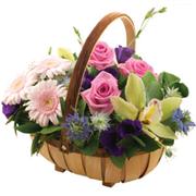 Contemporary Style Trug