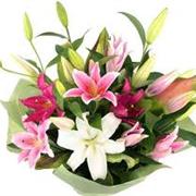 Mixed Lily Hand-Tied 