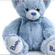 New Baby Boy Teddy