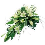 Longiflorum Lily Single-Ended Spray