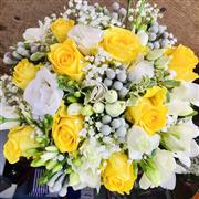 Yellow &amp; Grey