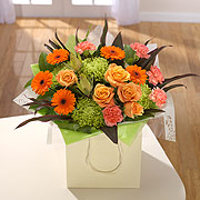 Atomic Tangerine Vase