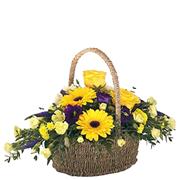 Bright Eyes Basket