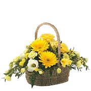 Sunny Basket