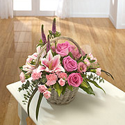 Eloquence Basket