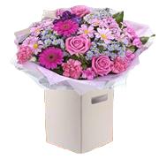 PurplePink passion 