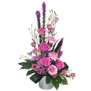 Pretty in Pink Linear