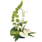 Exotic beauty Linear Arrangement 