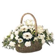 Pure Basket