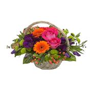  Radiant Basket
