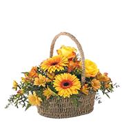 Rich Basket