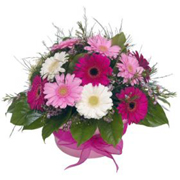 Simply Gerbera&#39;s Hatbox 