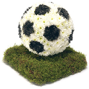 Standard 3D Football 