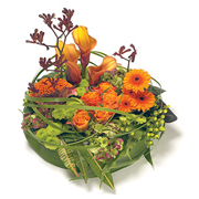 Modern Posy 