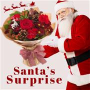 Santas Surprise 