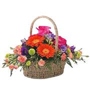 Vibrant Basket