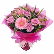 pinks
