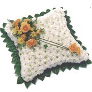 19- TRADITIONAL BASED CUSHION