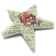 30- FLORAL FIVEPOINT STAR gyp mass