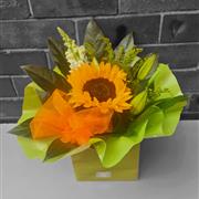  Teacher Sunny Treat 