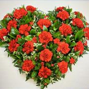 THE COLOURED HEART 