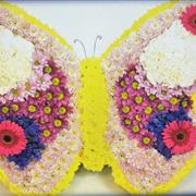THE BUTTERFLY 
