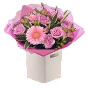Mixed Pinks Palette 