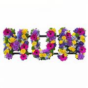 Loose &#39;MUM&#39; Tribute Letters 