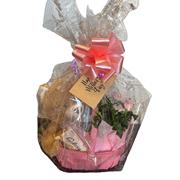 Mothers Day Rose Plant Hamper 
