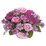Cupcake Arrangement 