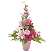 Adorable Linear Arrangement 