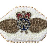 RAF Wings 