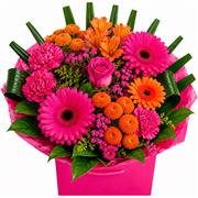Cerise &amp; Orange Petite 