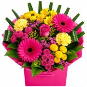 Cerise &amp; Yellow Petite 