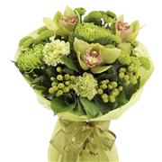 Orchid &amp; Lime 