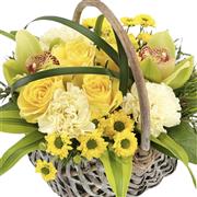 Orchid &amp; Lemon Basket 