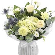 Hydrangea Blues 