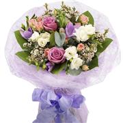 Delicate Lilac Season