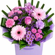 Pink &amp; Purple Petite 