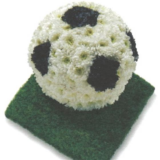 32- FLORAL FOOTBALL